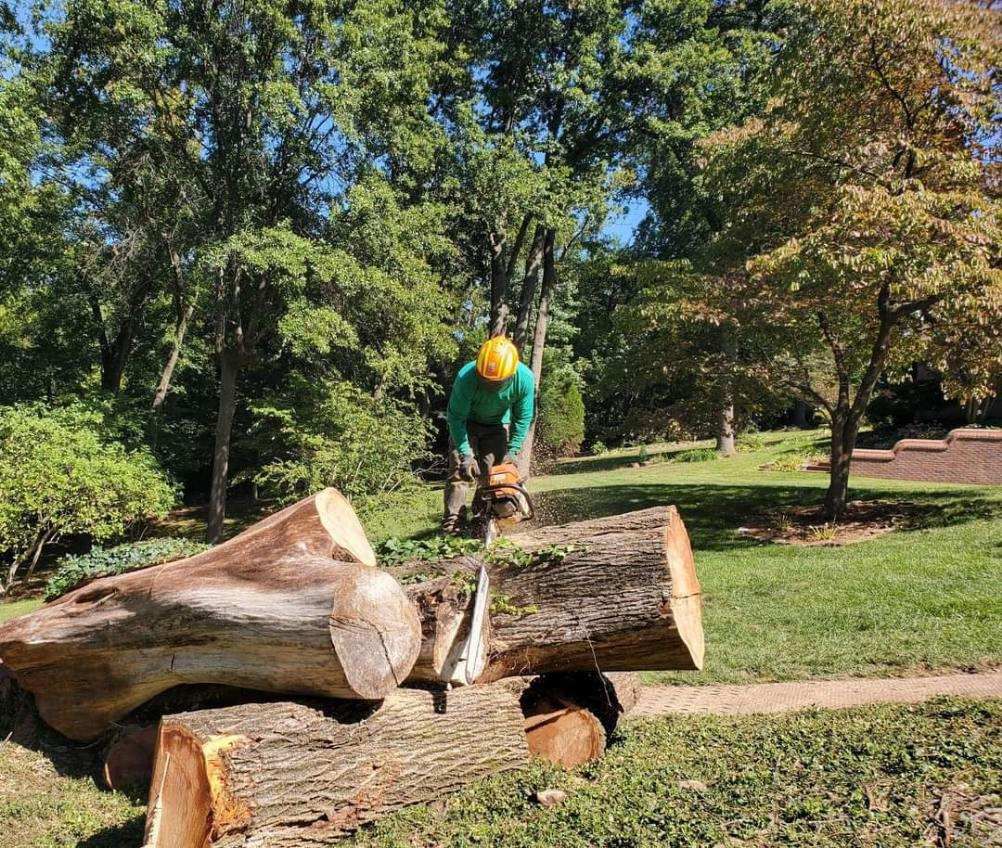Santos Tree Service completed outdoor tree care work