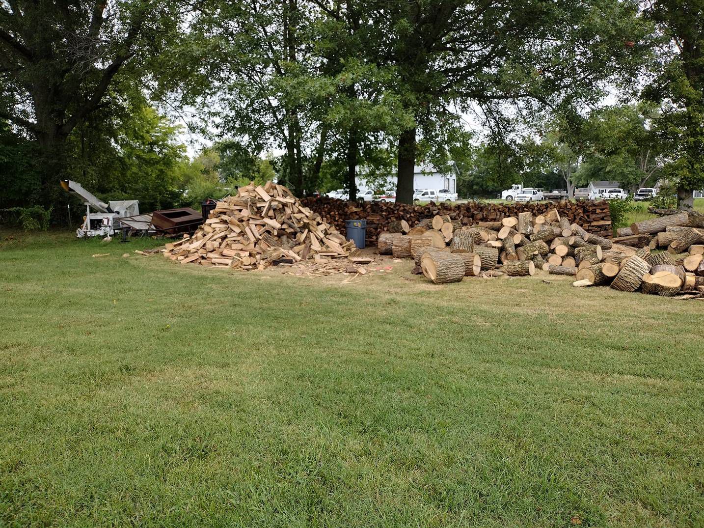 Galeria 12 from Santos Tree Service gallery