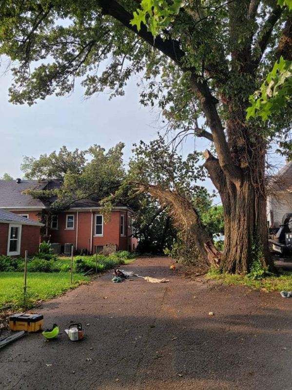 Outdoor tree service work from Santos Tree Service