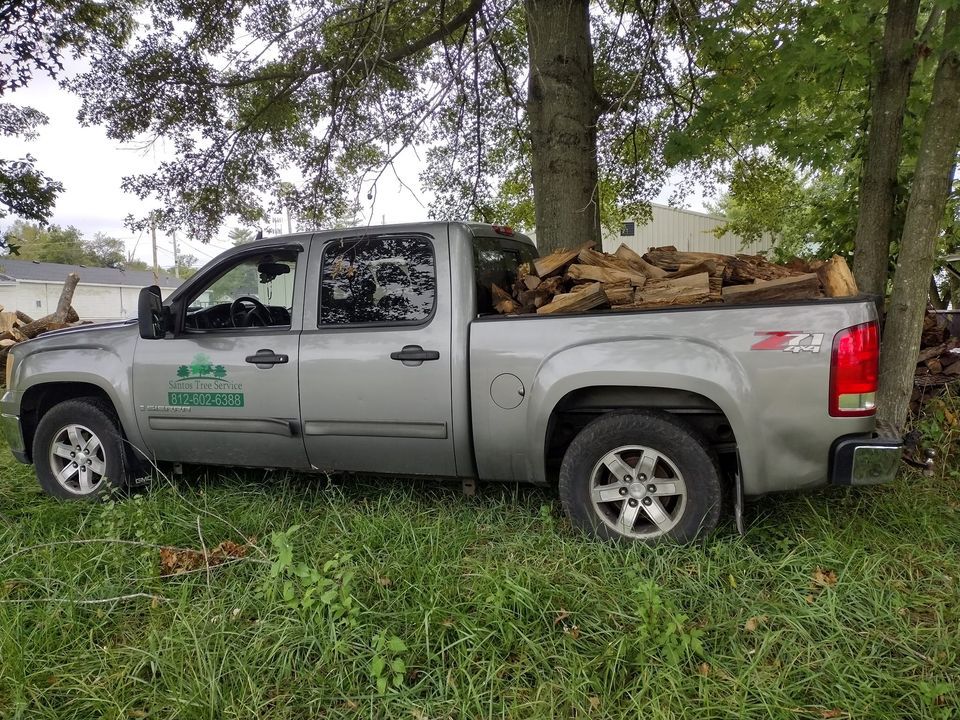 Galeria 5 from Santos Tree Service gallery