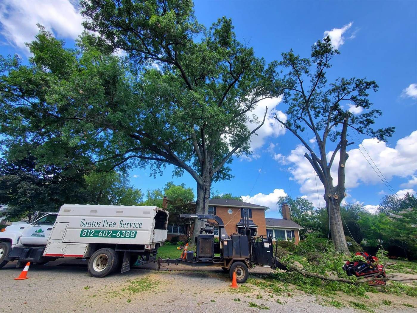 Galeria 7 from Santos Tree Service gallery