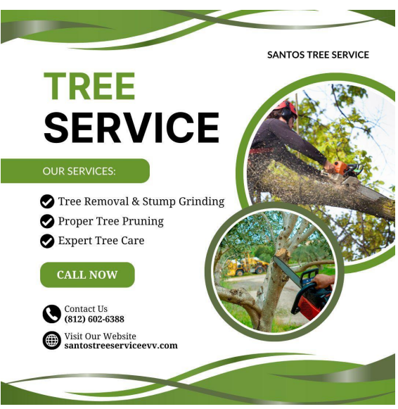 Professional Tree Services You Can Trust