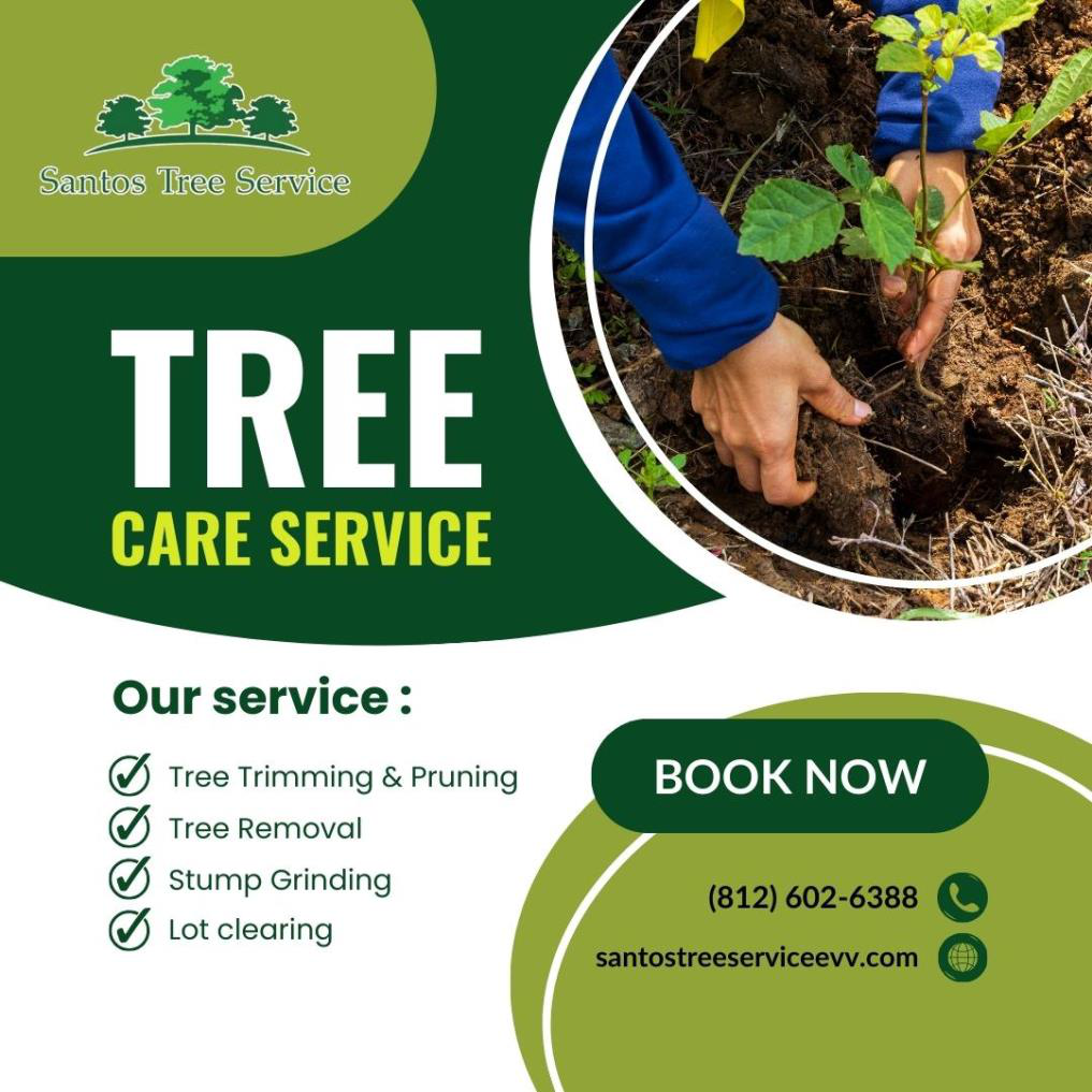 Professional Tree Care You Can Trust