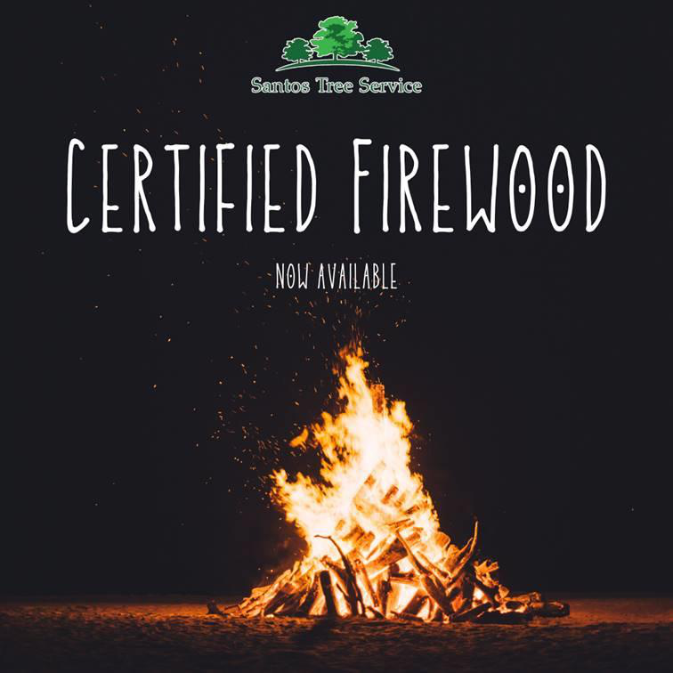 Certified Firewood Now Available
