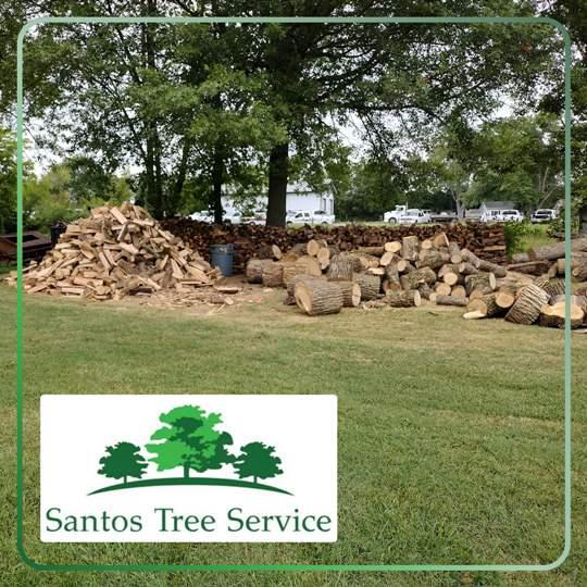 Stock Up on Firewood